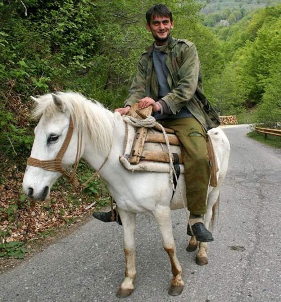 Принц на белом коне юмор