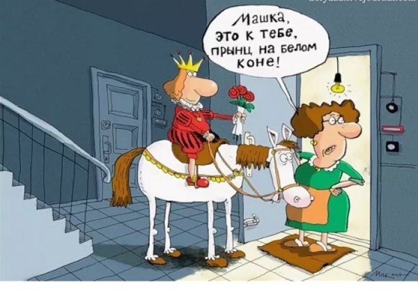 Принц на белом коне юмор