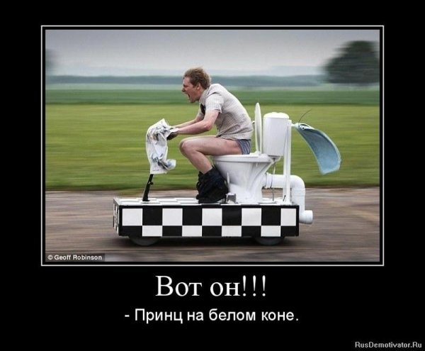 Принц на беломмконе прикол