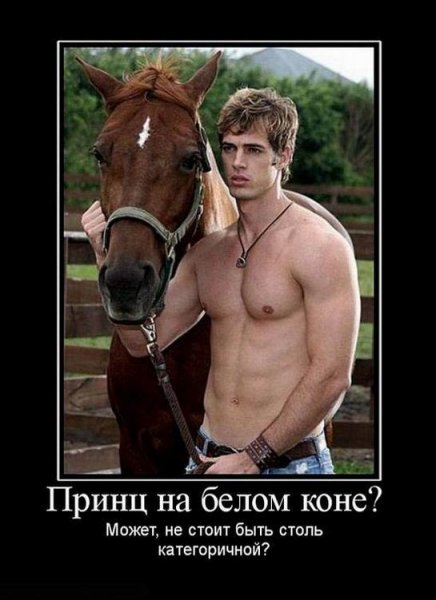 Принц на белом коне карикатура