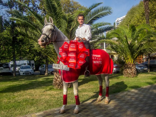 Конный юмор картинки