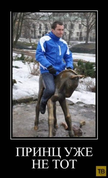Шутки про принцев