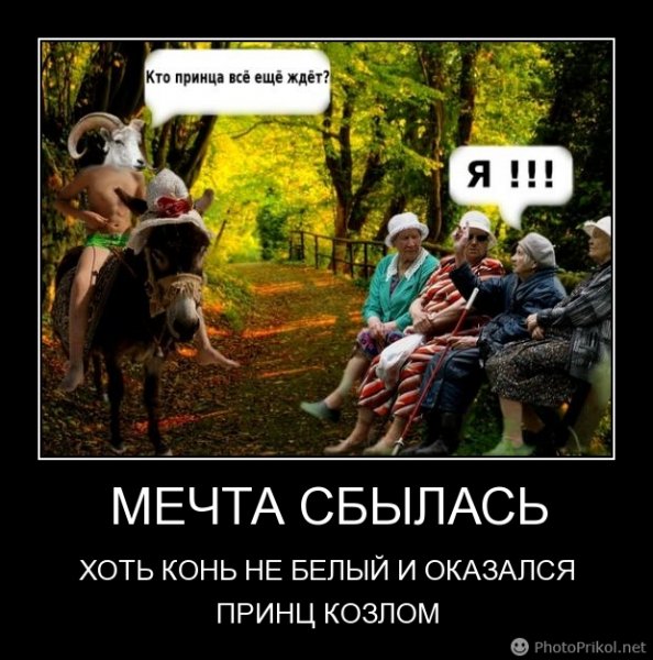 Максимус Рапунцель