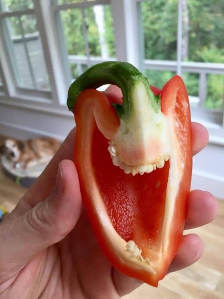Смешной перец