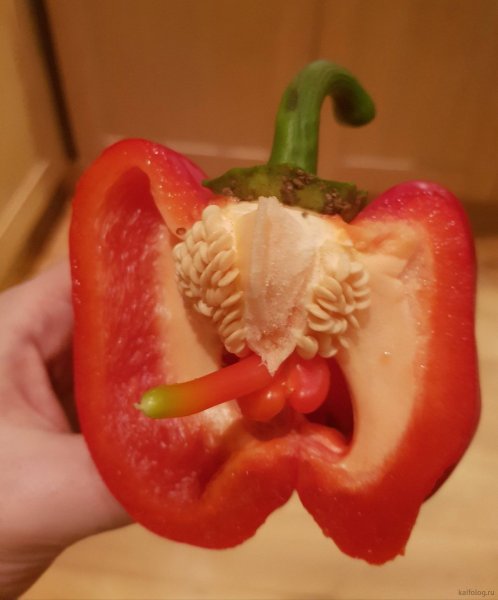 Смешной перец