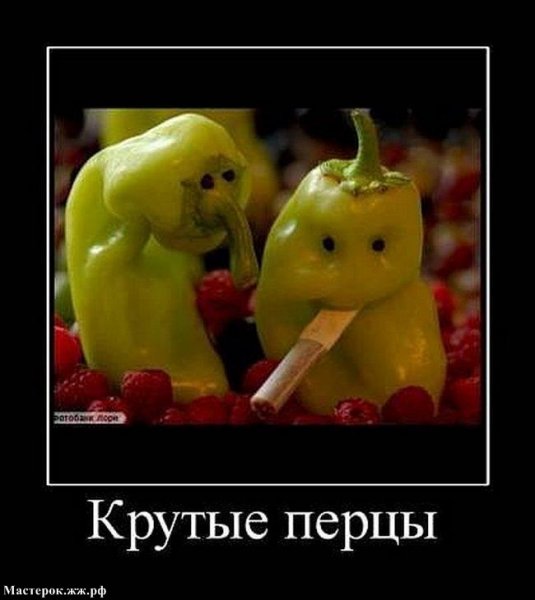 Крутые перцы.