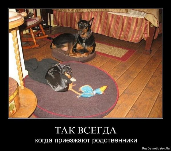 Родственники за столом Мем