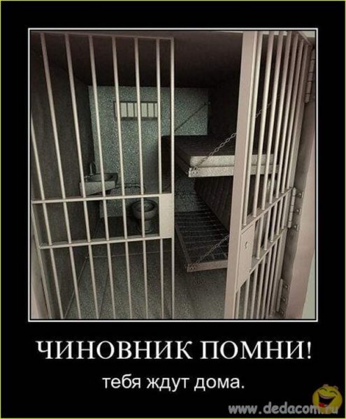 За решеткой прикол
