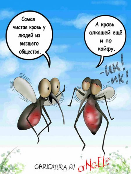 Прикольный комар