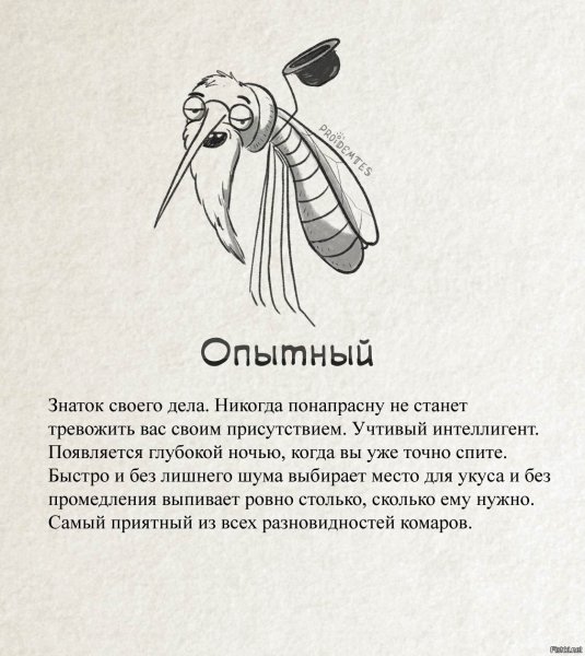 Классификация комаров