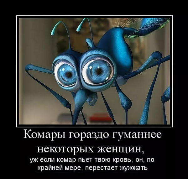 Комар прикол