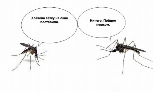 Шутка про комара