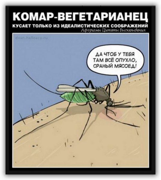 Комар прикол