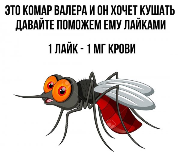 Комар прикольные картинки