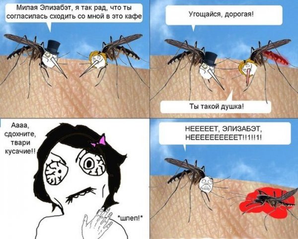 Шутка про комара