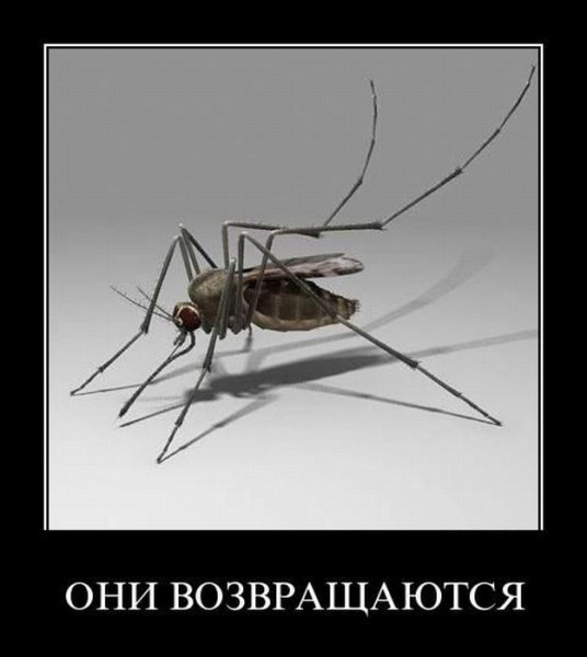 Комар демотиватор