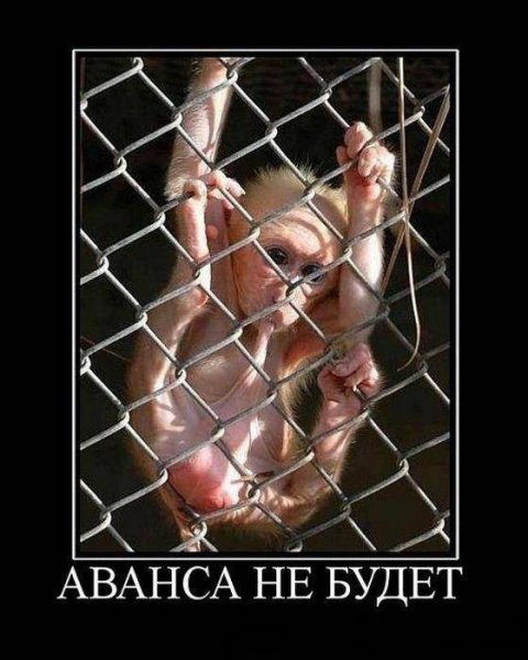 Аванса не будет обезьянка