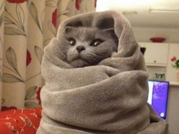Холодно прикол