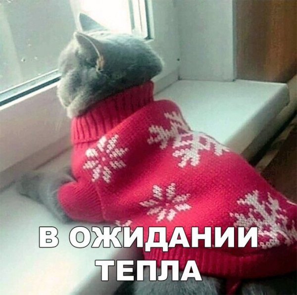 Одевайтесь теплее