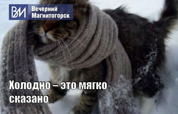 Открытка бррр холодно