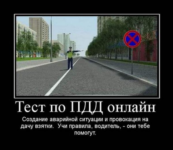 Правила дорожного движения приколы