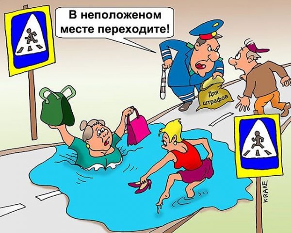 Смешные шутки про ПДД