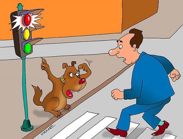 Правонарушения карикатуры