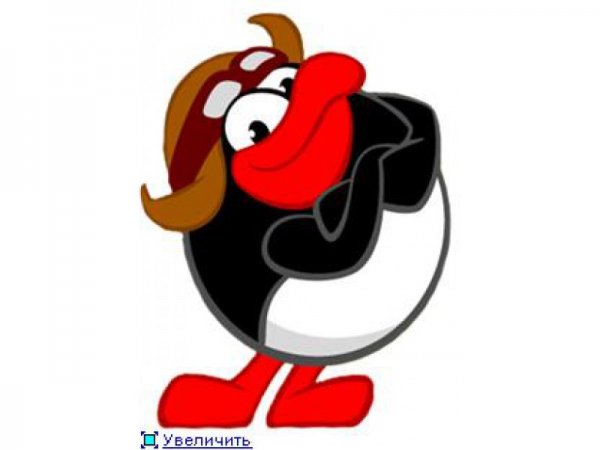 Пингвин пин