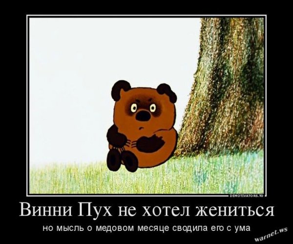 Винни пух приколы