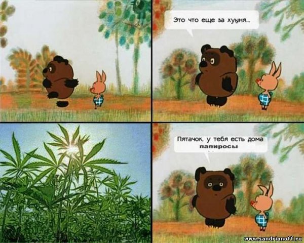 Винни пух приколы