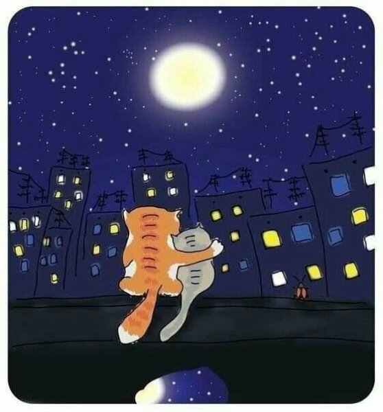 Позитивные цитаты на ночь