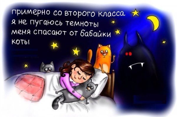 Смешные высказывания про ночь