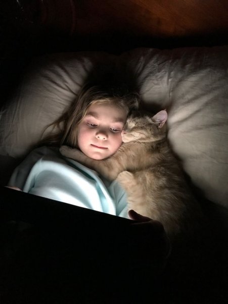 Девочка с котом на руках