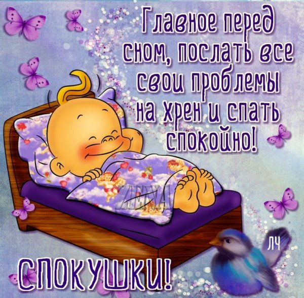 Смешные пожелания спокойной ночи