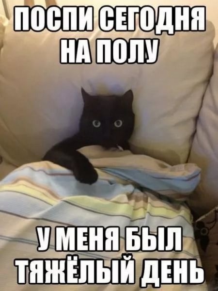 Спокойной ночи с юмором