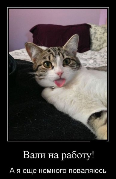 Прикольные картинки про работу