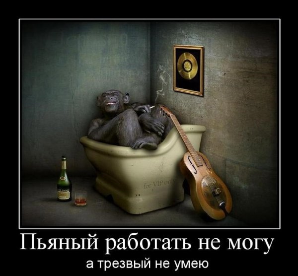 Демотиваторы злобные