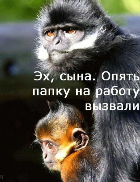 Открытки я на работе прикольные