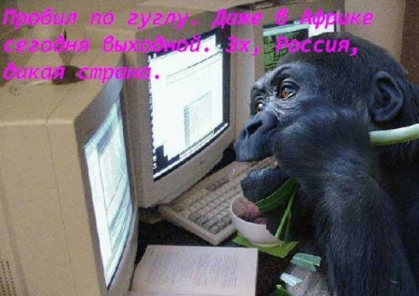 Шутки про рабочую субботу