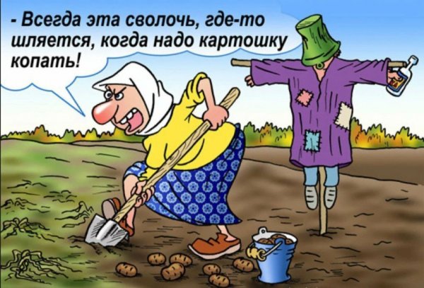 Приколы про дачу