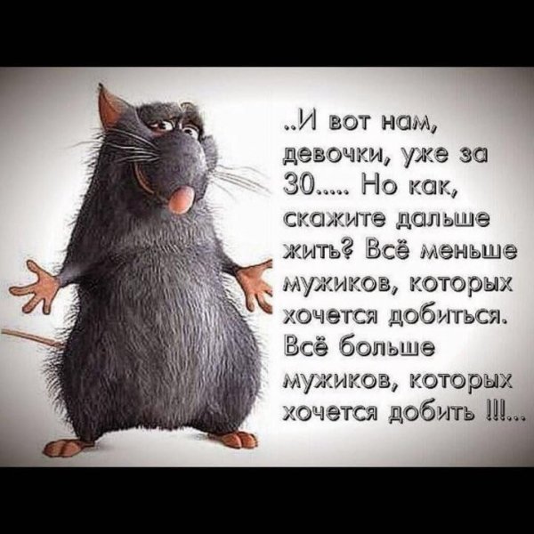 Статусы юмор