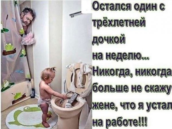 Смешные высказывания про домохозяек