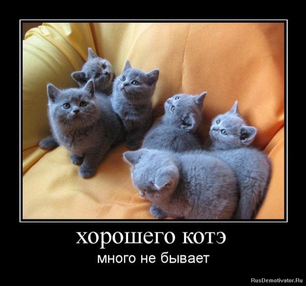Работник месяца прикол