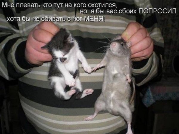 Приличная женщина