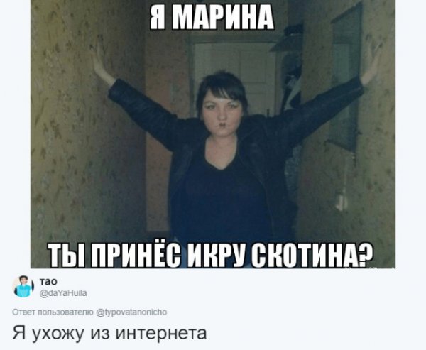 Мемы про Марину смешные