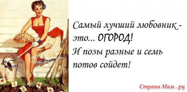 Смешные выражения про любовниц.