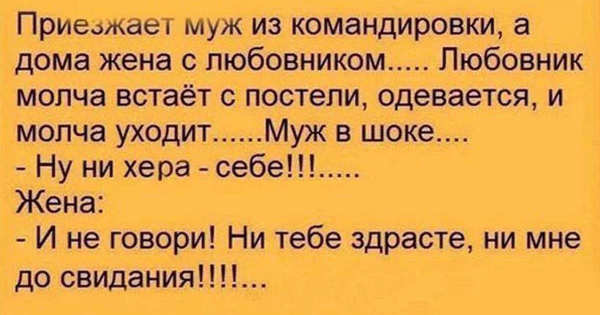 Муж из командировки