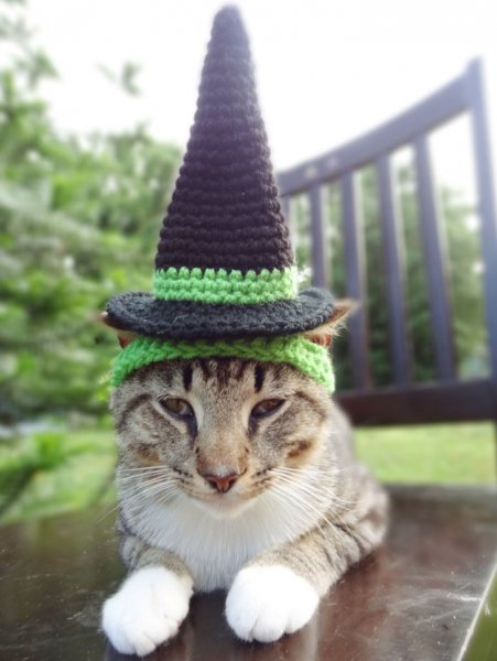 Шапка 'кошка'