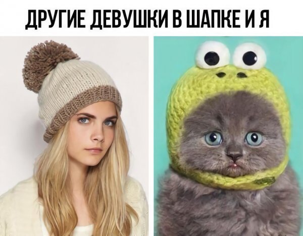 Одетая шапка прикол