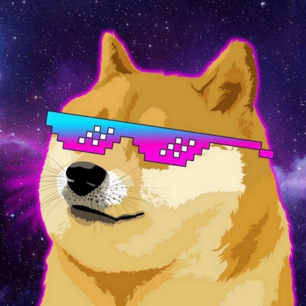 Doge в очках